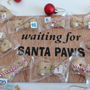 Furbaby Advent Calendar