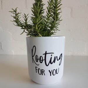 Ceramic pot plant holder – white