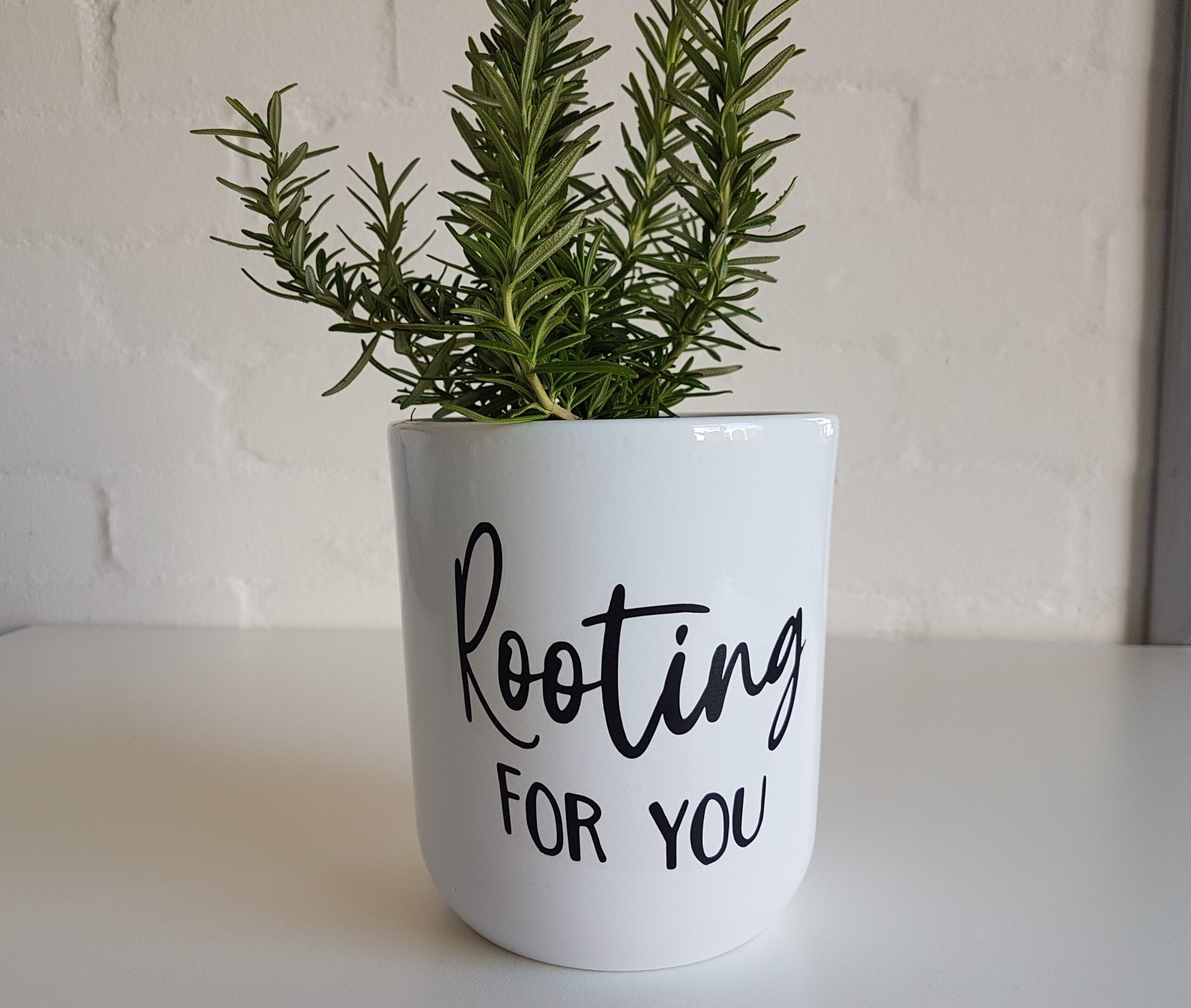 Pot plant holder