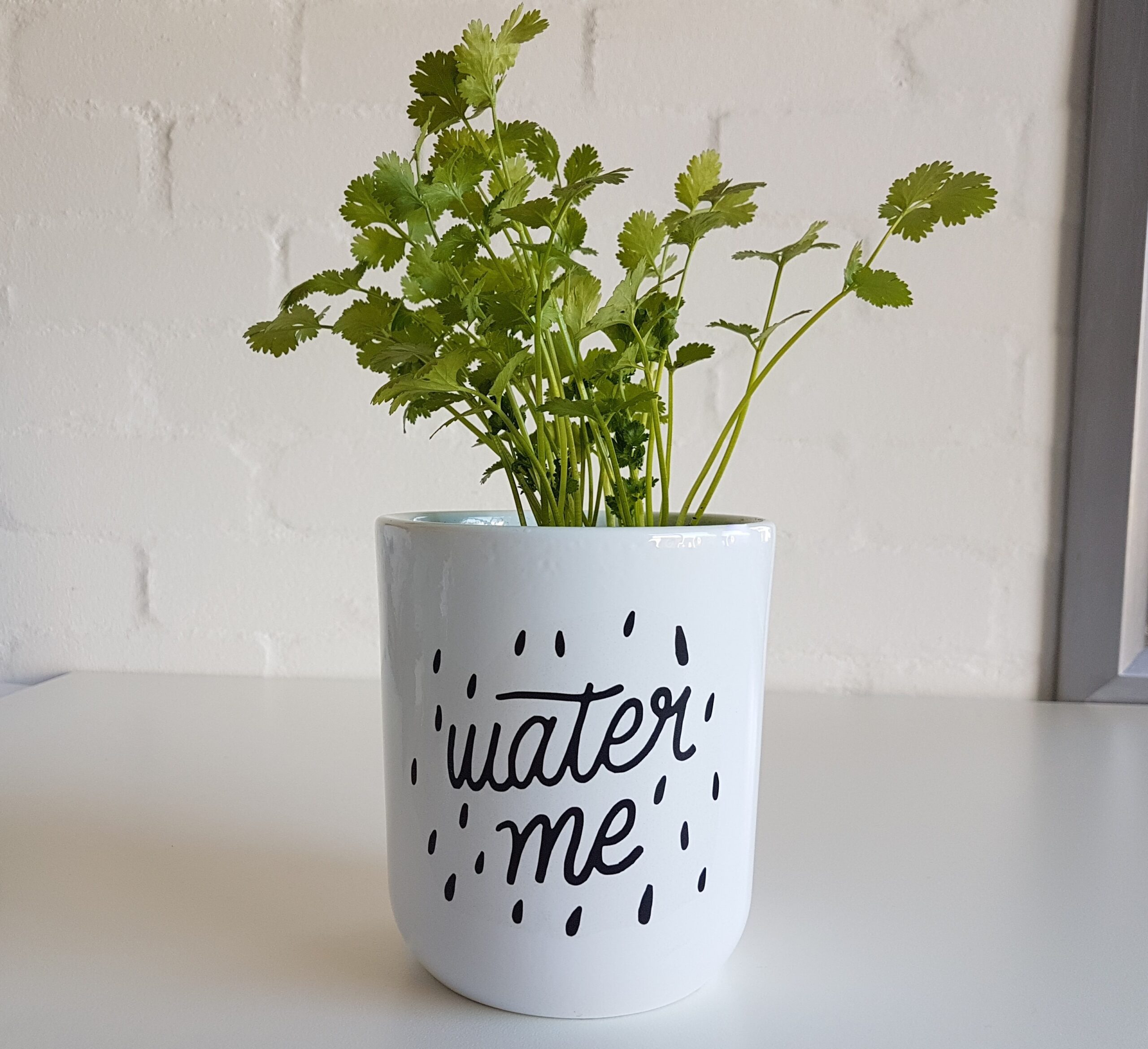 Pot plant holder