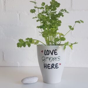 Ceramic pot plant holder