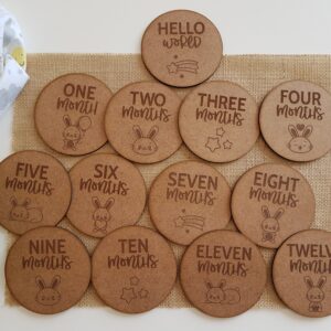 Baby milestone discs