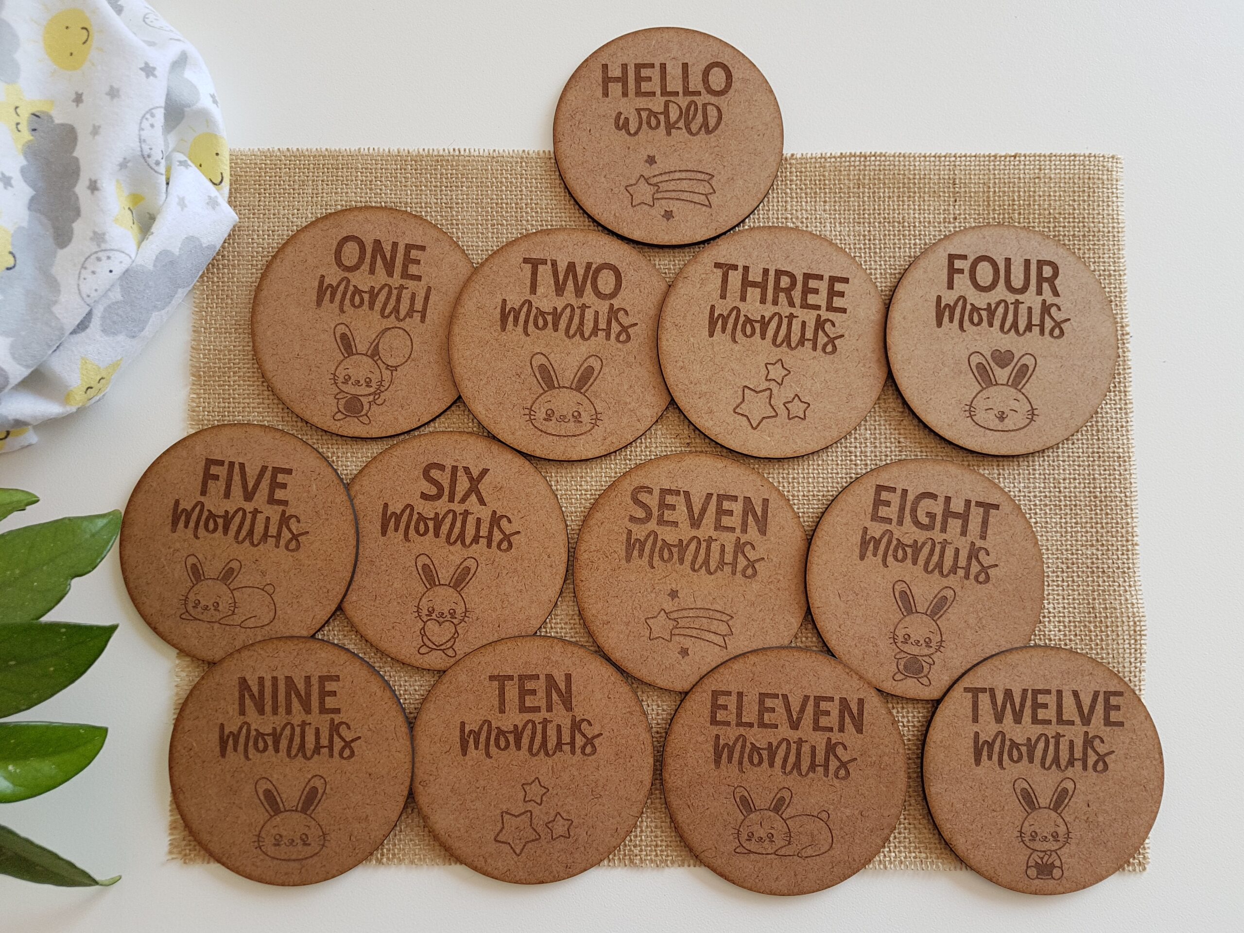 Baby milestone discs