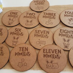 Baby milestone discs