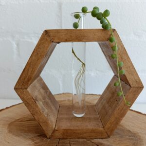 Propagation Vase